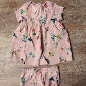 Hanna Andersson Baby Girls Pink Dress with Flowers and Insects size 3-6 Months